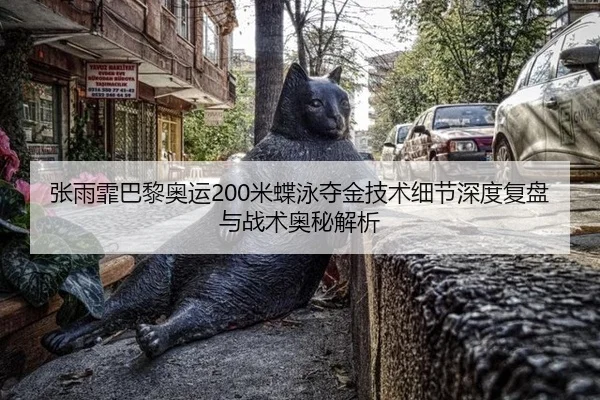 张雨霏巴黎奥运200米蝶泳夺金技术细节深度复盘与战术奥秘解析