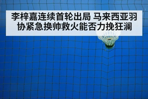 badminton net shot