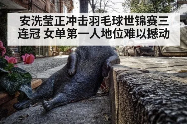 安洗莹正冲击羽毛球世锦赛三连冠 女单第一人地位难以撼动